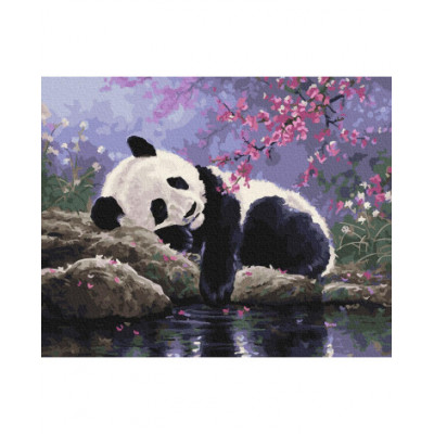 Maľovanie podľa čísel – Spiaca panda
